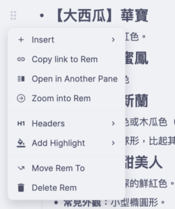 RemNote 101 ｜Zoom into Rem 也可以往下鑽一層