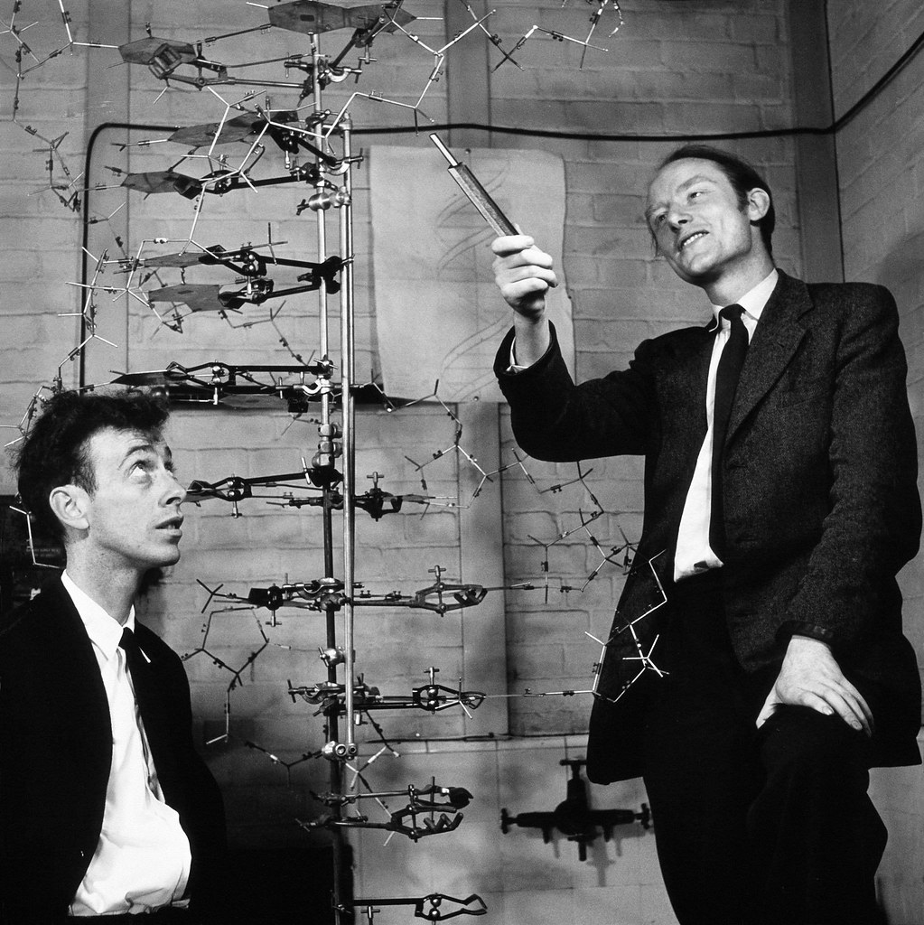 Crick 和 Watson 在他們發表的 DNA 雙螺旋結構前，對我來說他們是兩位成功 找尋人生方向 的典範（Image by Rosenfeld Media via Flickr.）